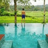 Clove Tree Hill – Affordable Bed and Breakfast in Selemadeg