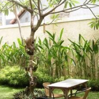 Sugiras Living – Affordable Bed and Breakfast in Denpasar