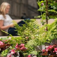 STF Vandrarhem Stigbergsliden - Hostel – Affordable hotel in Gothenburg