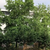 Premiere Classe Bordeaux Ouest - Mérignac Aéroport – Affordable hotel in Merignac