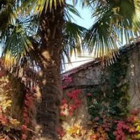 La Maison Blanche – Affordable Bed and Breakfast in Blaye