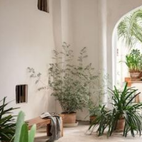 Hostal Pons – Affordable hotel in Palma de Mallorca