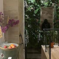GARDEN HOUSE MADRID – Affordable hotel in Madrid