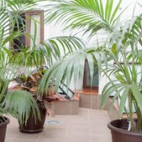 Hotel Castilla Guerrero – Affordable hotel in Málaga