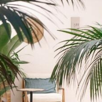 Casa du Soleil Hostal Boutique – Affordable hotel in Madrid