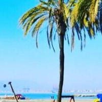Hostal Moscatel – Affordable hotel in Málaga
