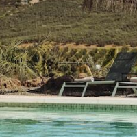Finca Viva la Vida – Affordable Bed and Breakfast in Álora
