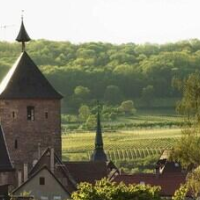 Hôtel Diana Restaurant & Spa by Happyculture – Affordable hotel in Molsheim