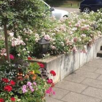 Aparthotel Wangener Landhaus – Affordable hotel in Stuttgart