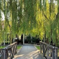 Boutique Hotel Borgo Nuovo – Affordable hotel in Milan