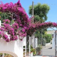 Villa Cecilia – Affordable hotel in Ischia