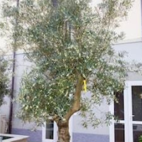 AB&B LEONARDO – Affordable Bed and Breakfast in Rho