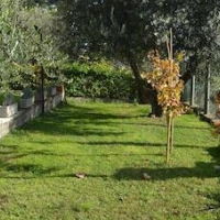 A1-GIRASOLE BED AND BREAKFAST – Affordable Bed and Breakfast in Castelnuovo di Porto