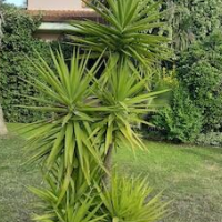 B&B Villa Giovanni – Affordable Bed and Breakfast in Rome