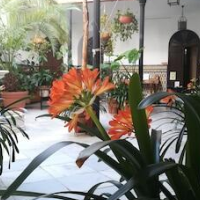 Casa de los Azulejos – Affordable hotel in Córdoba