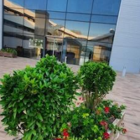 Iberflat Vega De Triana – Affordable hotel in Camas