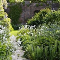 Middlethorpe Hall And Spa – Affordable hotel in York