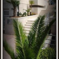 Hotel Rosina – Affordable hotel in Makarska