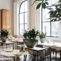 Suite Hotel Pincoffs Rotterdam – Affordable hotel in Rotterdam