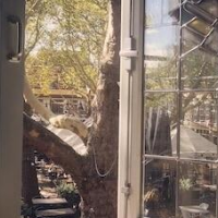 Hotel de Koophandel – Affordable hotel in Delft