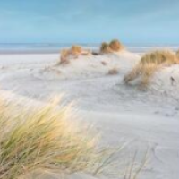 Fox Hotel The Hague Scheveningen – Affordable hotel in The Hague