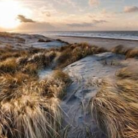 Carlton Beach – Affordable hotel in The Hague