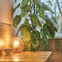 Hotels in Vilnius, Vilnius County, Lithuania