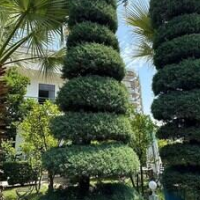 A.VILA – Affordable Bed and Breakfast in Durrës