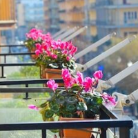 Amalfi Coast – Affordable Bed and Breakfast in Salerno