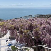 B&B I Limoni – Affordable Bed and Breakfast in Ravello