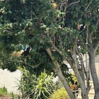 PORTA MARINA RESORT – Affordable Bed and Breakfast in Pompei