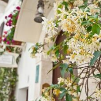 Santo Stefano – Affordable Bed and Breakfast in Putignano