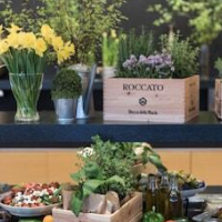 Scandic Gdansk – Affordable hotel in Gdansk