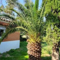 Hostal San Martin de Montalbán – Affordable hotel in San Martin de Montalban