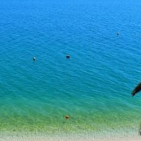 Apartments Pansion Franka 3 – Affordable hotel in Gradac
