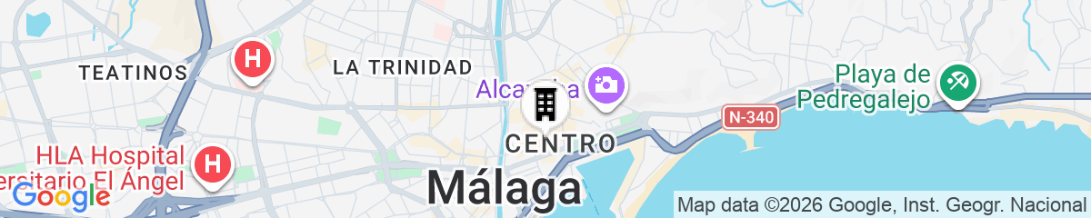 Map for Hotel Vincci Larios Diez