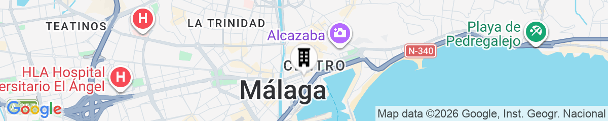 Map for Hotel Sur Málaga